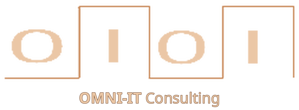 Omni-IT Consulting 0101 digital communication logo